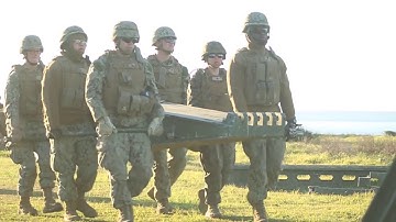 7th ESB Bridge Co Primecuts