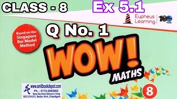 Class 8 Ex 5.1Q No.1Wow Maths Book Solution Ex 5 Linear Equation In One Variable Cbse/Icse by Vishu