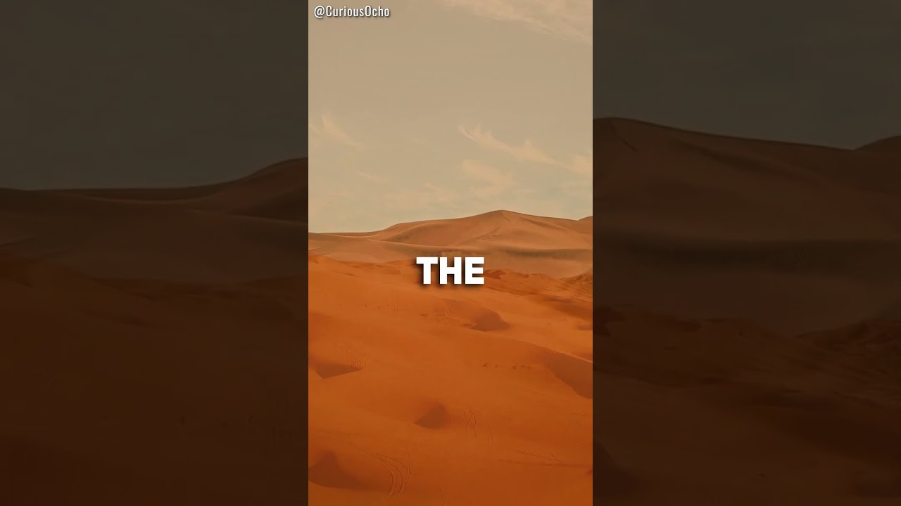 The Vastness of Sahara - World's Largest Hot Desert 🏜️ #shorts #sahara #desert #africa #trivia #fact