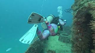 2023.11.23 C56 Dive Scuba Dive in Puerto Morelos, Mexico
