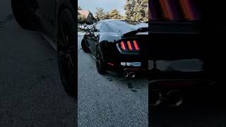 Mustang Gt Black Modified Colour