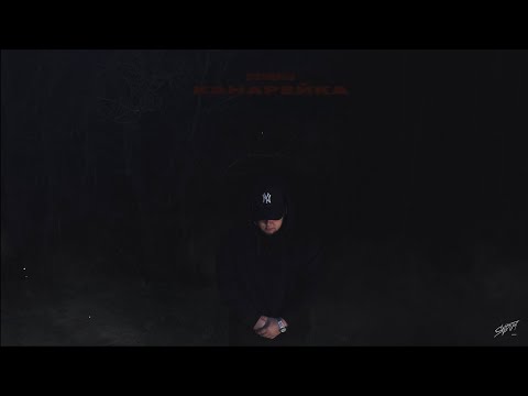 Dzhenis Канарейка Новинки 2025