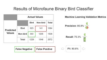 Acoustic Species Identification
