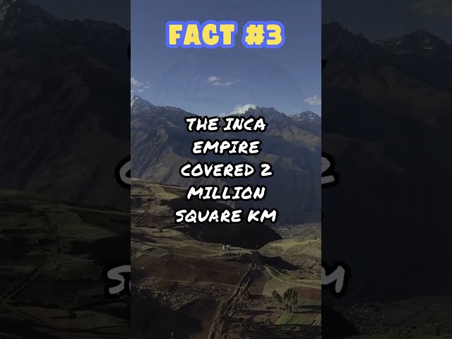 Facts About The Incas - Wise Owl Facts #shorts #incas #incafacts class=