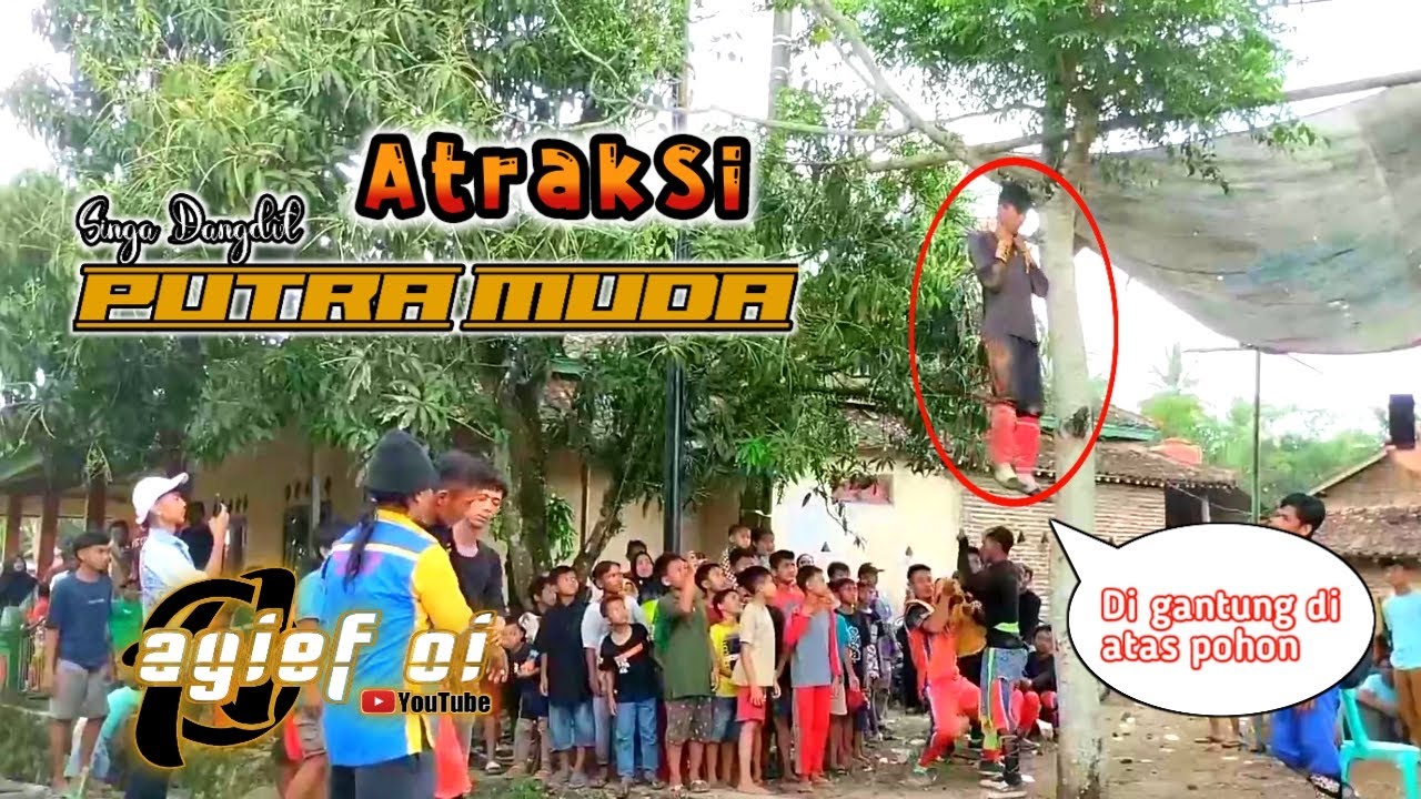 Atraksi singa dangdut putra muda PM atraksi singa dangdut 2023