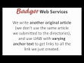 Article directory submission service with uaw  badgerwebservicescom