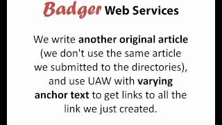 Article Directory Submission Service With UAW! - BadgerWebServices.com