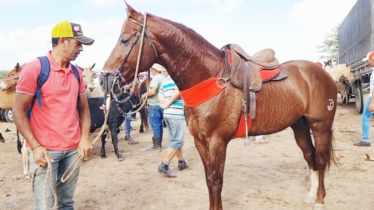 Feirinha Musical chega à 18ª edição em Serra dos Cavalos, Caruaru