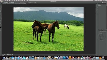 Photoshop CS6: The Essentials