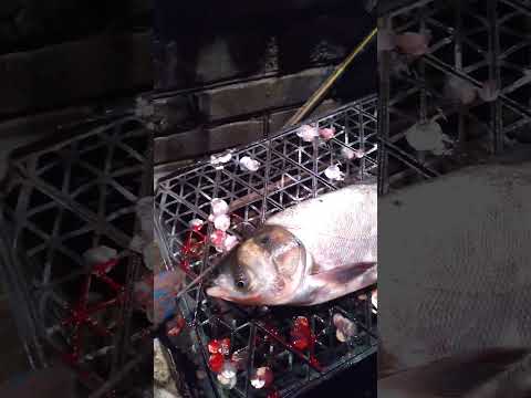 убить рыбу лайфхак