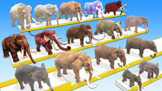 Ultimate Race 30 Animals Vs Elephants Epic Run Zigzag Down Course! from Outside Which is the Fastest screenshot 3