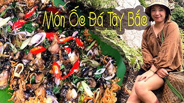 Món ốc Đá Tây Bắc I Phố Núi 26 I Stone Snail Dish