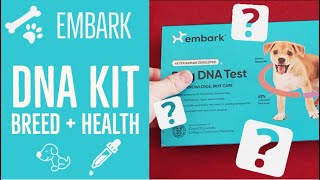 Embark Breed + Health DNA Test RESULTS ARE IN!  What do the reports show? (Account Walkthrough)