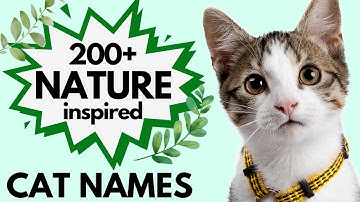 200+ Nature Inspired CAT NAMES🌿🍃 | Unisex Cat Names