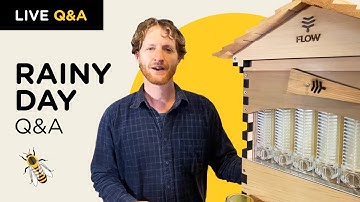 Rainy day Q&A with Cedar Anderson