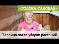 Голова садовая - Теплица после уборки растений