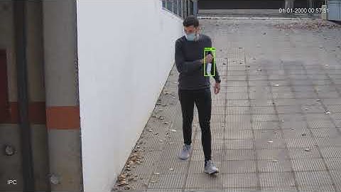 Video7 Back garage door outdoor single detection efficientdet