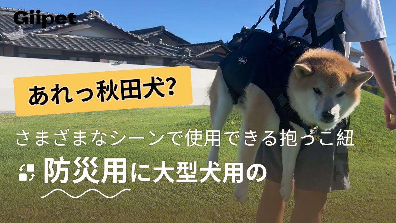 【Giipet】拒否柴の最強アイテムが届いたので使ってみたら想像以上に可愛すぎた！
