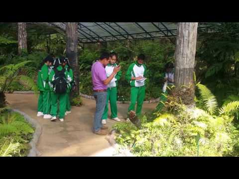 ทัศนศึกษา ม.2 โรงเรียนห้องสอนศึกษา ( ไปดูแกะกัน)