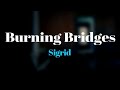 Sigrid - Burning Bridges (Lyrics) 🎵