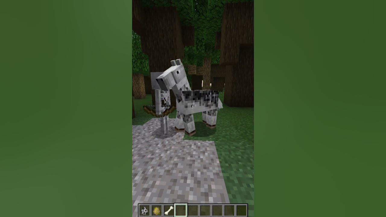 This is how skeleton horse spawn shorts YouTube