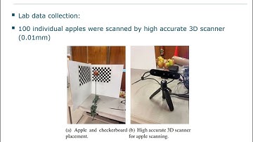 Kaiwen Wang - UAV-based 3D monocular panoptic mapping for fruit shape completion in orchards