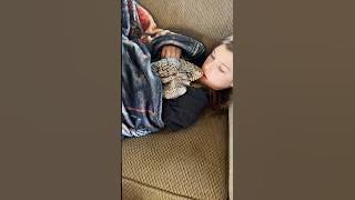 This Lizard Is The Best Cuddle Buddy l The Dodo