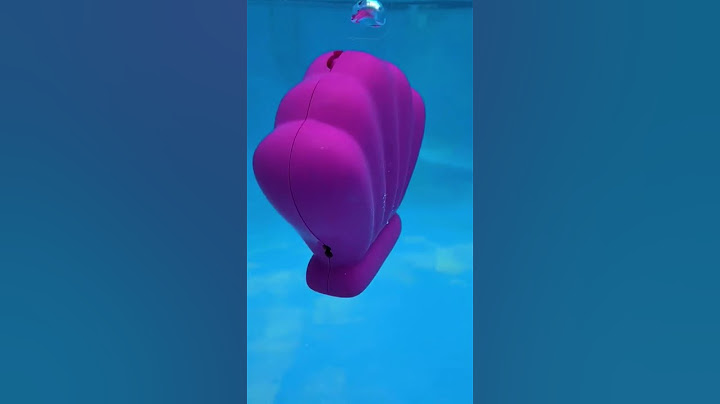 الصدَف السحري: سِر يظهر عند قاع المسبح! 🐚✨ #ترند