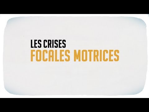 Vidéo: Crises D'apparition Focale (crises Partielles)
