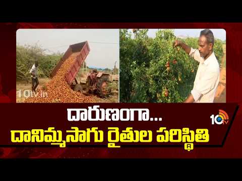 Anathapuram Pomegranate Farmers Problems | దారుణంగా... దానిమ్మసాగు రైతుల పరిస్థితి | 10TV - 10TVNEWSTELUGU