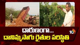 Anathapuram Pomegranate Farmers Problems | దారుణంగా... దానిమ్మసాగు రైతుల పరిస్థితి | 10TV