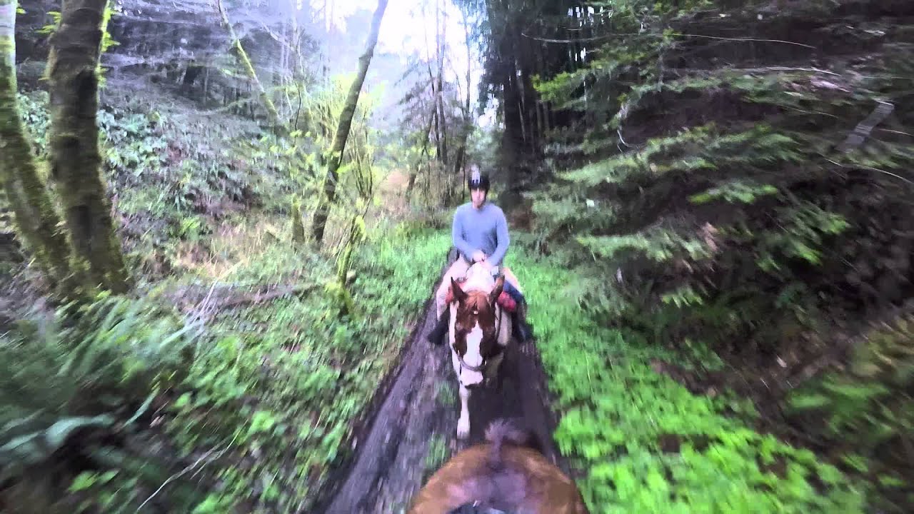 Shawn and Amy, Ricochet Ridge Ranch - YouTube