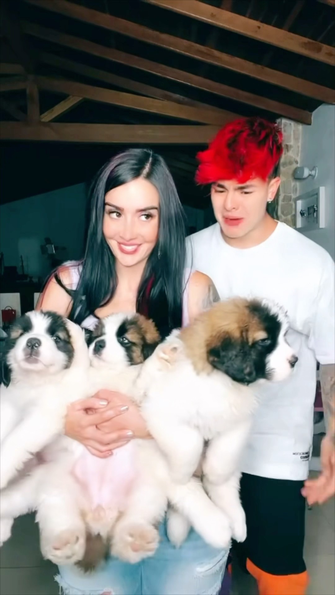 Adri está llenando la casa de perros??