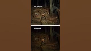 Back in Theatres | ParaNorman in Remastered 3D