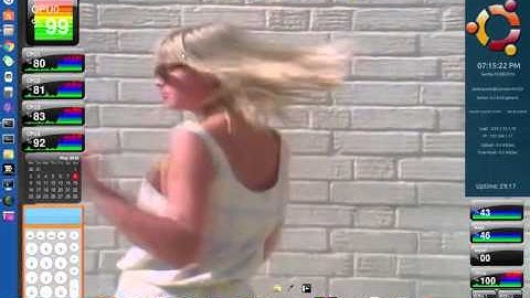 Ubuntu 14.04 - XWinwrap Demo