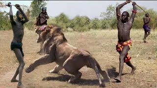 Amazing Wild Animals Attacks | Wild Animal Fights Caught On Camera | Wild Animals Ultimate Fights