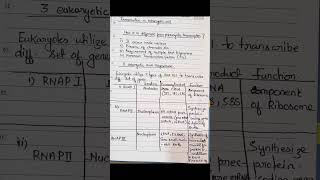 📘 Eukaryotic Transcription Part 1 | Different Types of RNA Polymerase | Easy Explanation