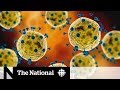 Coronavirus questions answered