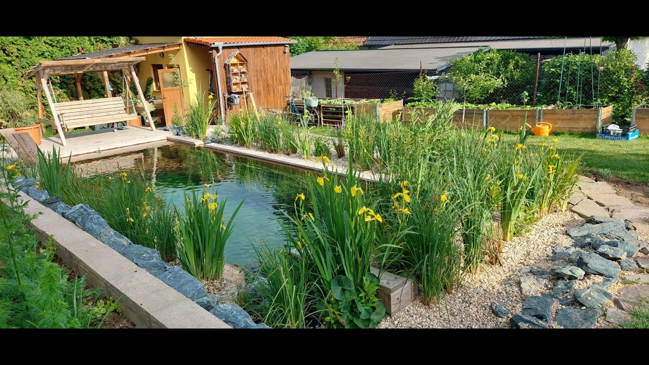 Jak se staví přírodní bazén?