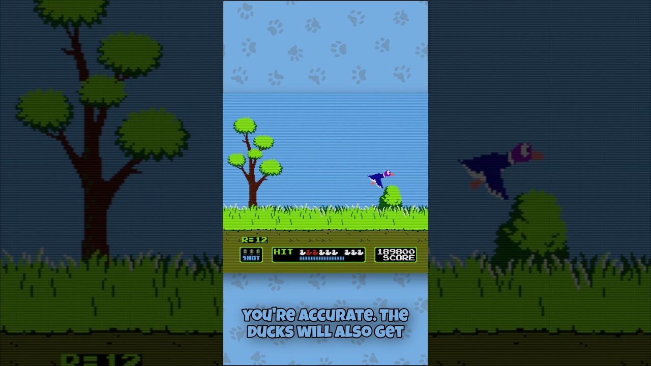 Ranking EVERY Nintendo Game #14 - Duck Hunt (NES/Famicom)