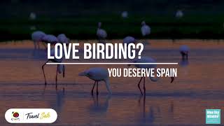 Love Birding? You Deserve Spain