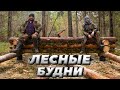 Потихоньку изба складывается | ЛЕСНОЙ ДОМ | ЗЕМЛЯНКА | ИЗБА | FOREST HOUSE | DUGOUT | HUT