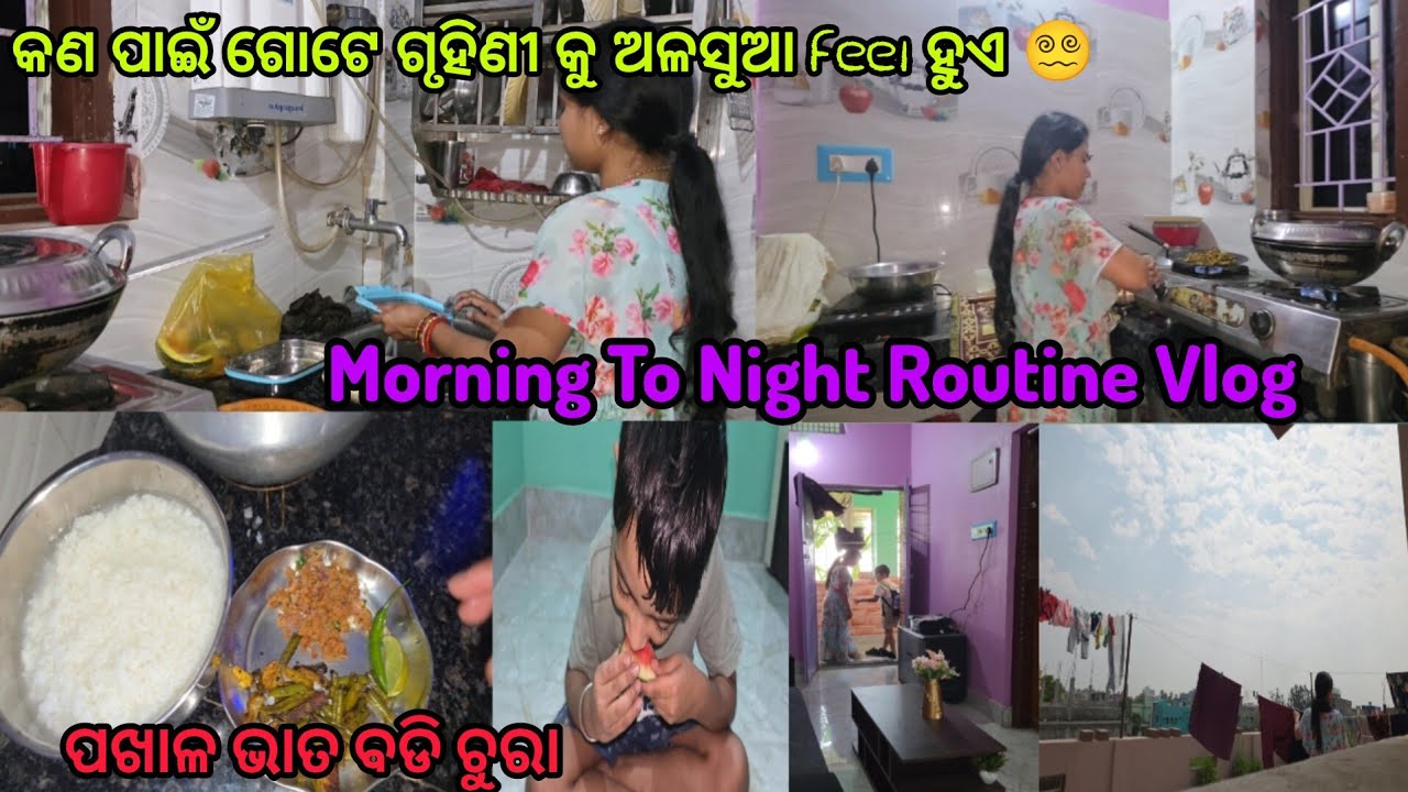 କଣ ପାଇଁ ଗୃହିଣୀ ମାନଙ୍କୁ ବେଳେ ବେଳେ ଅଳସୁଆମି ଲାଗେ😵‍💫|  Why Homemaker Feels Lazy? | Morning To Night Vlog