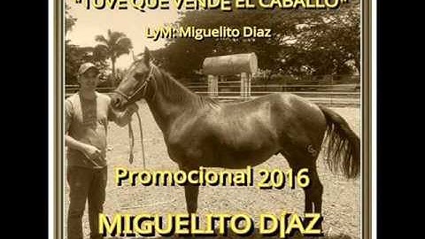tuve que vender el caballo