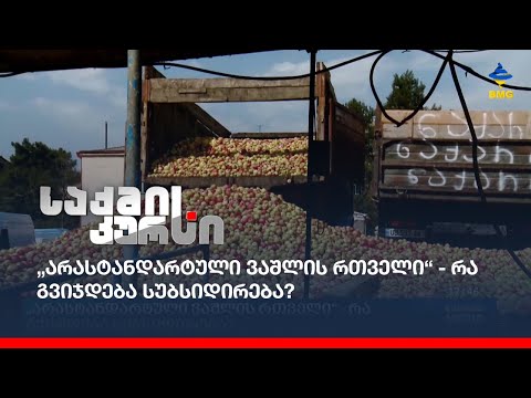 „არასტანდარტული ვაშლის რთველი“ - რა გვიჯდება სუბსიდირება?