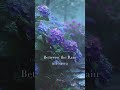 Between the Rain|雨間の静寂に包まれる和Jazz|雨間の静けさ #Shorts #LofiJazz #music #寝落ち音楽 #instrumental