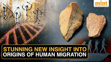 New Stone Tools Reveal Ancient ‘Hobbit’ Humans May Have Crossed The Deep Sea