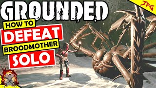 Grounded Broodmother Guide  How To Defeat The Broodmother  Craft BLT Bait, Unlock Oven / Rewards