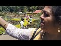 DHEERAM ASSOCIATES KODAIKANAL TOUR FLOWER GARDEN BUSINESS OPPORTUNITY AVAILABLE TEXT ME FOR DETAILS