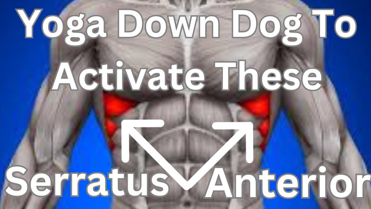 How To Activate The Serratus Anterior During Down Dog Yoga Posture